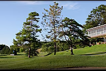Lush green golf course at Rivendell Golf Club in Ontario with tall pine trees and a modern clubhouse in the background.