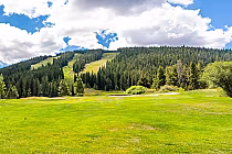 Scenic view of Copper Creek Golf Course in Frisco, CO, with lush green fairways, dense pine trees, and the Ten Mile Range in the background under a partly cloudy sky.