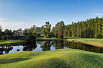 Scenic view of Saddlebrook Golf Resort's Oak, Pine, and Cypress trees surrounding a calm water hazard on a lush green golf course.