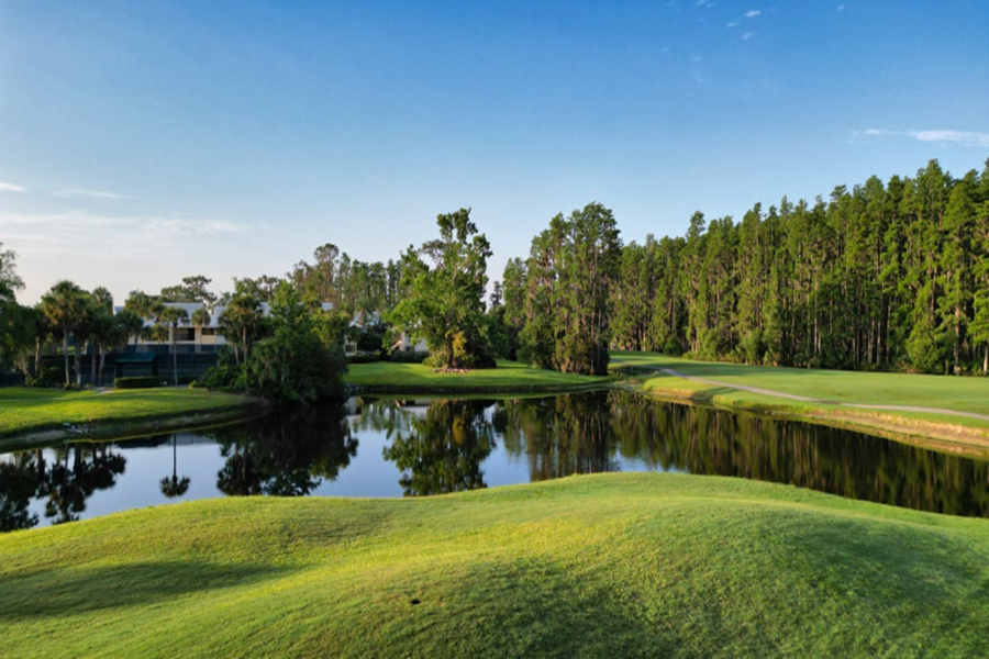 Saddlebrook Golf Resort - Oak/Pine/Cypress