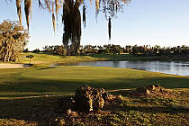 Serene view of a golf course green near a lake at Forest Lake Golf Club in Orlando, with trees and rocks in the foreground.