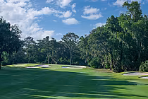 Scenic golf course at Hilton Head with lush green fairways, sand bunkers, and tall trees under a partly cloudy sky.