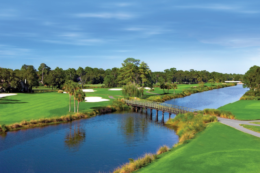 Palmetto Dunes Fazio