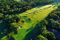 Aerial view of the Arthur Hills golf course at Palmetto Dunes, featuring lush green fairways, trees, and coastal scenery.