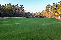 Lush green golf course fairway surrounded by tall trees at Diamondback Golf Club, South Carolina, under a clear sky.