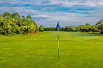 Scenic view of a vibrant green golf course with a blue flag, surrounded by lush trees under a partly cloudy sky.