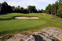 Scenic golf course green with sand bunker, surrounded by lush trees and a clear sky, creating a peaceful setting.