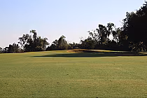 Spacious lush fairway at Palatka Golf Club, bordered by mature trees under a clear blue sky.