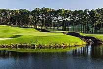 Lush green golf course at RTJ Ross Bridge with a cascading waterfall and serene pond under a clear blue sky.