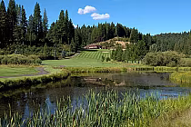 Lush golf course with manicured greens and a serene pond, surrounded by tall pine trees under a clear blue sky.