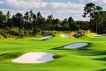 Vibrant golf course with undulating fairways and white sand bunkers, surrounded by lush trees and a clear blue sky.