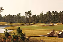 Lush golf course at St. Johns Golf & Country Club, featuring green fairways, sand bunkers, and a scenic wooded backdrop.