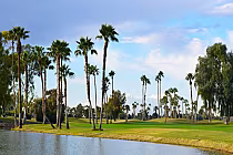 McCormick Ranch - Palm