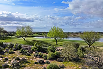 Scenic view of Whirlwind Golf Club's Devil’s Claw course in Arizona, with green fairways, trees, and a tranquil pond.