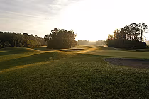 Sunlit golf course with rolling green hills and trees at St. Johns Golf & Country Club, Florida, early morning view.
