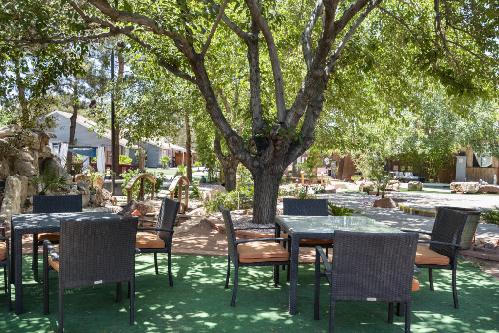 Luxury Las Vegas Rental Home - Image 3