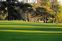 Scenic view of Huron Oaks golf course in Sarnia, Ontario, featuring lush green fairways and surrounding trees.