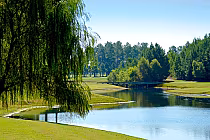 Scenic view of a lush golf course with a willow tree, pristine pond, and manicured greens at Sandpiper Bay, Sunset Beach, NC.
