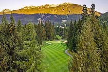 Scenic view of Whistler Golf Club's lush green fairways, surrounded by towering trees and majestic mountain backdrop.