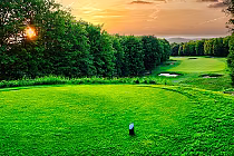 Sunset view of Smith Signature Golf Course, featuring lush bentgrass greens surrounded by dense trees.
