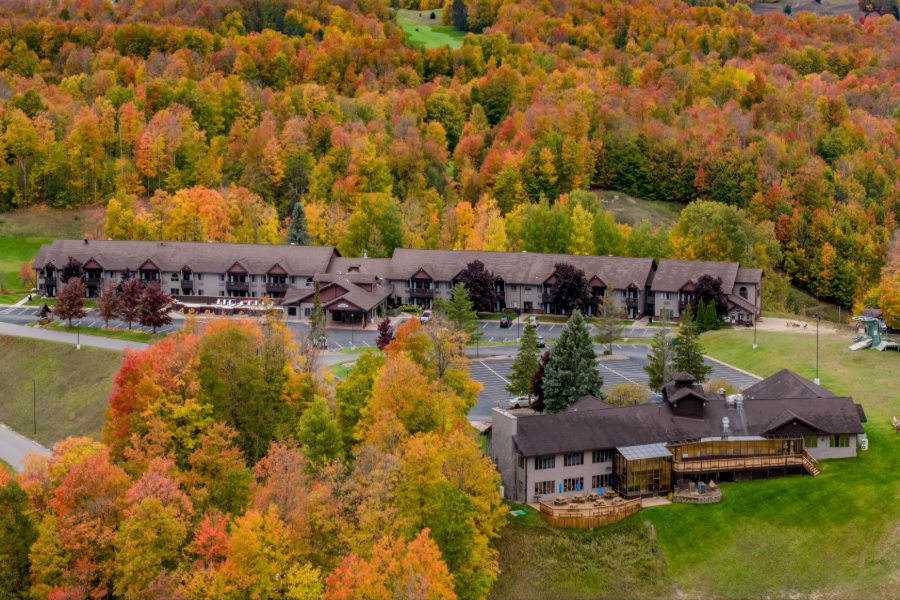 The Treetops Inn - Image 5