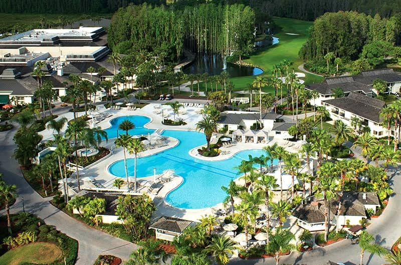 Aerial view of Saddlebrook Resort in Tampa featuring a large swimming pool, lush greenery, palm trees, and surrounding resort buildings.