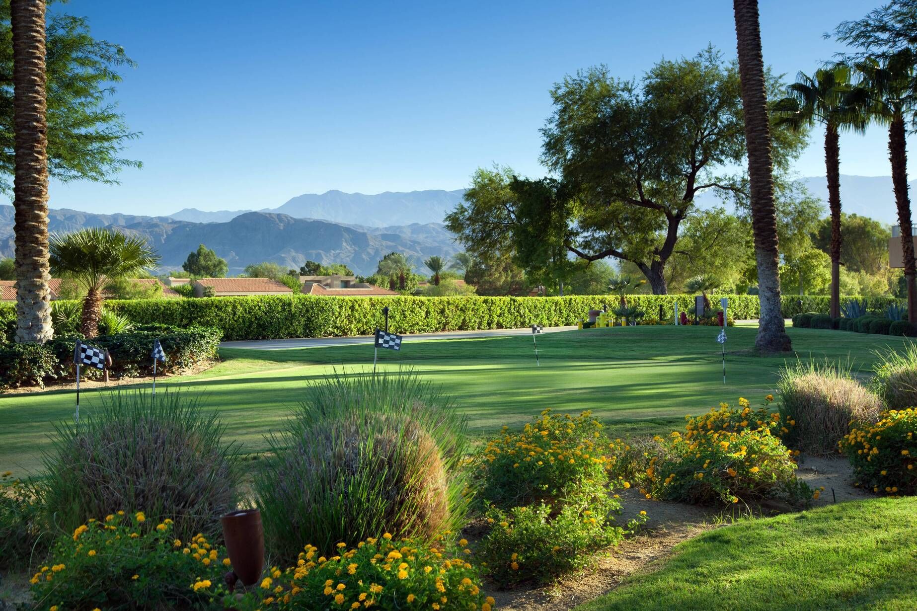The Westin Mission Resort Villas - Image 4