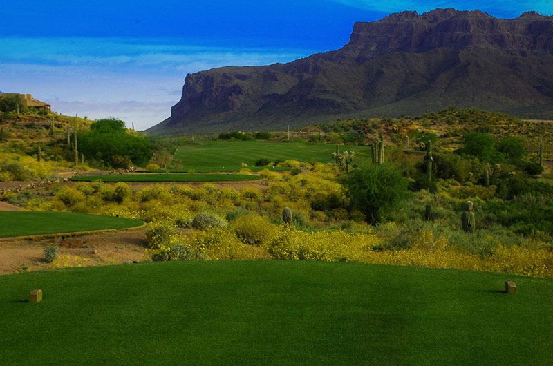 Gold Canyon - Dinosaur Course