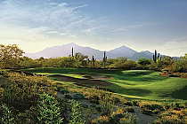 Scenic view of Grayhawk golf course with lush green fairways, sand bunkers, desert plants, and mountains in the background.