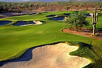 A scenic view of Wildfire Golf Club in Phoenix, Arizona, featuring lush green fairways, sand bunkers, and desert plants.