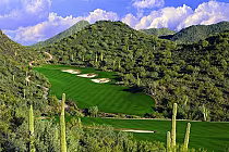 Scenic desert golf course in Quintero, Arizona, with lush green fairways, sand bunkers, and surrounding desert mountains.