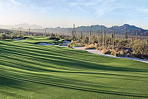 Dove Mountain golf course with 27 holes, desert landscape, cacti, and mountain range in the background.