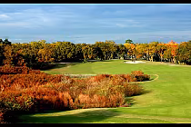 Scenic view of Fox Hollow Golf Club in Tampa Bay with lush green fairways, colorful autumn trees, and a partly cloudy sky.