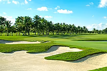 Scenic view of Trump National Doral Blue Monster golf course with lush greens, deep bunkers, and palm trees under a blue sky.