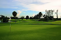 A scenic view of Celebration Golf Course with lush green fairways, palm trees, and a clear sky, perfect for an iconic golf experience.