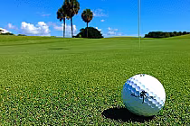 Golf ball with Palm Aire logo on a well-maintained green at Palm Aire Country Club, featuring renovated tee decks and turfs.
