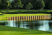 A golf course green with a flag, surrounded by water and trees, featuring a wooden bridge over the water at TPC Sawgrass.