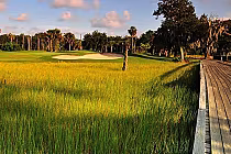 Scenic view of Marsh Landing Golf Course with lush green grass, sand bunkers, and tall trees under a partly cloudy sky.