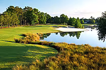 Scenic golf course with lush green fairways, water hazards, sand traps, and trees, designed by Palmer and Nicklaus at King & Bear.