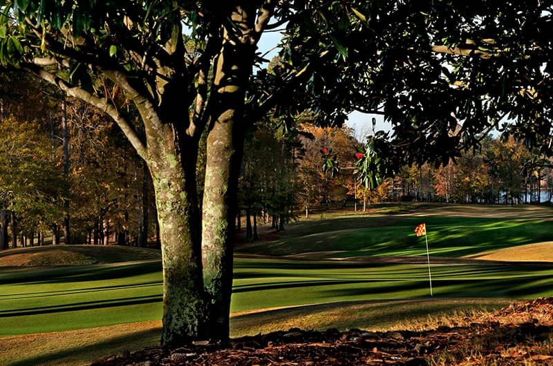 RTJ Grand National Short Course