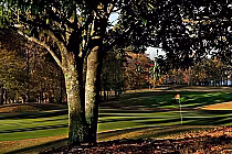 A scenic golf course with lush green fairways, a flag on the putting green, surrounded by trees in autumn colors.