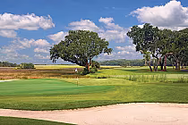 A scenic golf course with lush green grass, trees, a sand bunker, and a flag on the putting green under a partly cloudy sky.