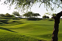 Lush green golf course with rolling hills, trees, and a bright sky at Westin Rancho Mirage Pete Dye Resort Course.