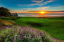 Scenic view of Monarch Beach Golf Links at sunset, featuring lush green fairways, purple flowers in foreground, and ocean in the background.