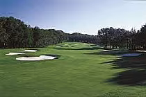 View of the Jacaranda Golf Club East/West course in South Florida, featuring lush green fairways, sand bunkers, and trees.
