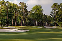 Scenic view of a golf course with sand bunkers, green grass, and tall trees at RTJ Lakewood Golf Club's Dogwood Course.