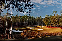 Scenic view of the RTJ Magnolia Grove Falls Course with lush trees, sand bunkers, and a well-maintained green under a partly cloudy sky.