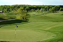 Scenic golf course with lush green fairways, trees, and a putting green with a flag at Tangle Creek Golf and Country Club.