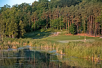 Scenic golf course at Black Bear Ridge Golf Club with lush green fairways, surrounded by tall trees and a pond in the foreground.