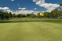 View of a golf course green with a yellow flag, surrounded by trees under a partly cloudy sky at Bay of Quinte Golf and Country Club.